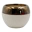 Indoor Cream Ceramic Pot with Bronze Trim, Small