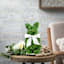 Providence Artificial Boxwood Easter Bunny, 12"