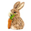 Homespun Easter Sisal Rabbit with Carrot, 6"