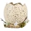 Honeybloom Natural Hatched Egg Shell Table Decor, 4"
