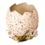 Honeybloom Natural Hatched Egg Shell Table Decor, 4"