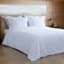 Providence 3-Piece White Cotton Velvet Comforter Set, Full/Queen