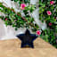 Decorative Blue Star, 8"