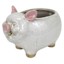 Indoor Pig Ceramic Pot, Extra Small