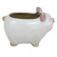 Indoor Pig Ceramic Pot, Extra Small