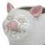 Indoor Pig Ceramic Pot, Extra Small