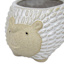 Indoor Hedgehog Ceramic Pot, Extra Small
