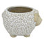 Indoor Sheep Ceramic Pot, Extra Small