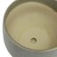 Indoor Grey Round Ceramic Pot with Saucer, Small