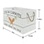 Homespun Easter White Wood Fresh Carrots Bin, 12"