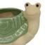 Indoor Turtle Ceramic Pot, 5"