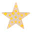 LED White Star, 15"