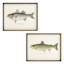 Lake & Lodge Set of 2 Framed Fish Wooden Wall Décor