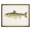 Lake & Lodge Set of 2 Framed Fish Wooden Wall Décor