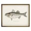 Lake & Lodge Set of 2 Framed Fish Wooden Wall Décor