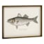Lake & Lodge Set of 2 Framed Fish Wooden Wall Décor