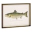 Lake & Lodge Set of 2 Framed Fish Wooden Wall Décor