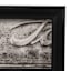 Framed Set of 2 Cars Wall Art
