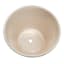 Found & Fable Indoor Cream Ceramic Medallion Planter, 5"