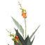 Canna Plant in Plastic Pot, 45"