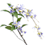 Purple Hanging Jasmine Spray, 44"