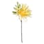 Yellow African Daisy Pick, 11"