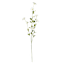 White Morning Glory Spray, 34"