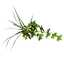 Succulent & Grass in Ceramic Pot, 16"