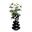 Eucalyptus in Black Ceramic Pot, 10"