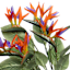 Bird of Paradise Wreath, 22"