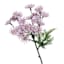 11.5IN QUEEN ANN LACE PICK