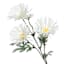 White African Daisy Spray, 29"