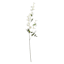 White Hanging Columbine Spray, 42"