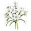 White Tiger Lily & Queen Ann Lace Bush, 18"