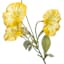 Yellow Morning Glory Pick, 12"