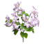 Purple Bauhinia Bush, 21"