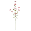 Pink Morning Glory Spray, 34"