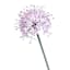 Light Purple Allium Stem, 29"