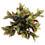 UV-Protected Croton in Plastic Pot, 16"
