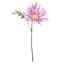 Purple African Daisy Pick, 11"