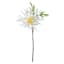 White African Daisy Pick, 11"