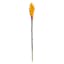 Ginger Flower Stem, 32"