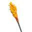 Ginger Flower Stem, 32"