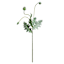 Poppy Pod Spray, 35"