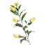 Yellow Trumpet Flower Spray, 31"