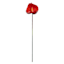 Red Anthurium Stem, 27"