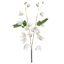 Willow Crossley White Columbine Pick, 12"