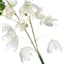 Willow Crossley White Columbine Pick, 12"