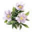 Cosmos in Pink Ceramic Pot, 8"