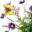 Purple Cosmos, Heather & Butterfly Bush, 20"